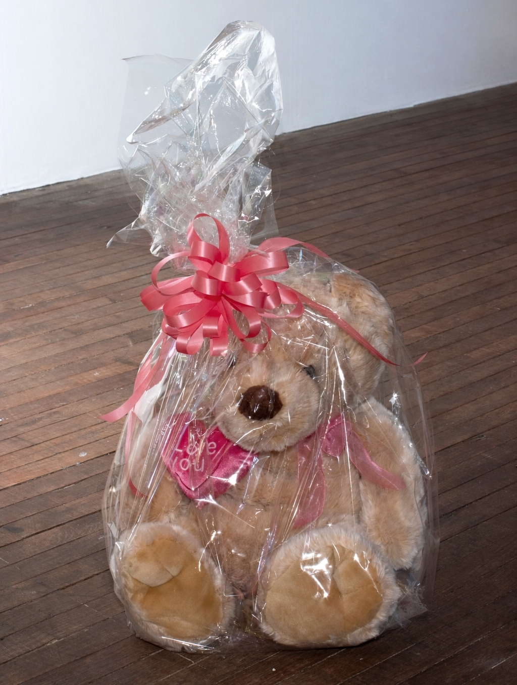Brown stuffed animal bear covered in plastic wrap with a red ribbon on a brown wooden floor.